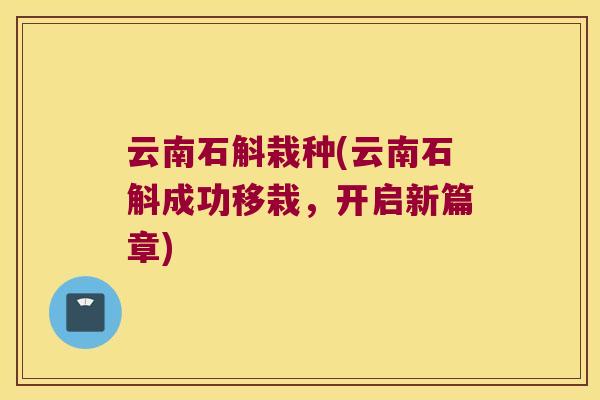 云南石斛栽种(云南石斛成功移栽，开启新篇章)