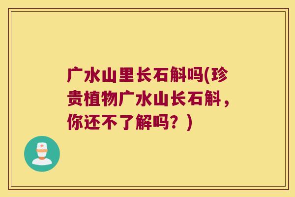 广水山里长石斛吗(珍贵植物广水山长石斛，你还不了解吗？)