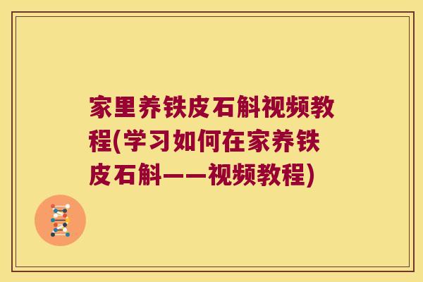 家里养铁皮石斛视频教程(学习如何在家养铁皮石斛——视频教程)