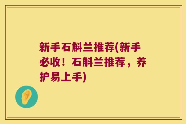 新手石斛兰推荐(新手必收！石斛兰推荐，养护易上手)