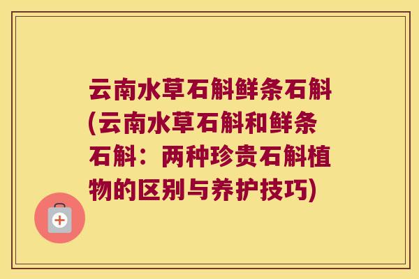 云南水草石斛鲜条石斛(云南水草石斛和鲜条石斛：两种珍贵石斛植物的区别与养护技巧)