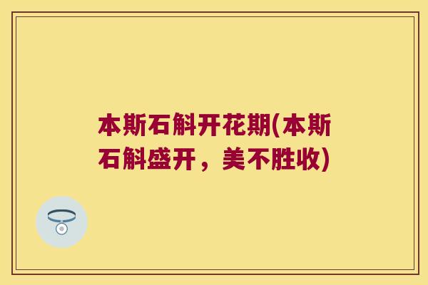 本斯石斛开花期(本斯石斛盛开，美不胜收)