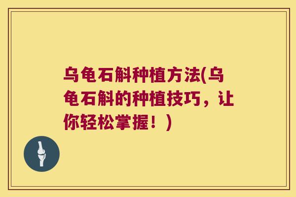 乌龟石斛种植方法(乌龟石斛的种植技巧，让你轻松掌握！)