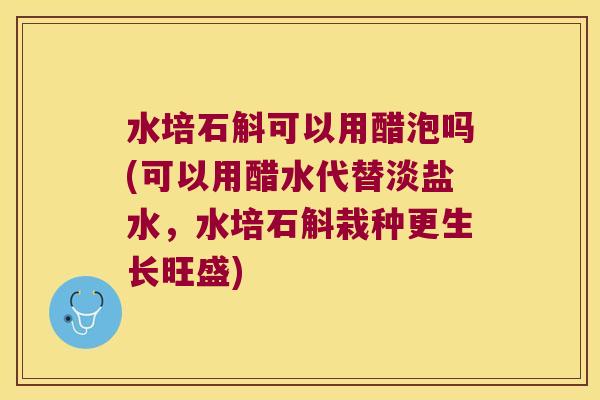 水培石斛可以用醋泡吗(可以用醋水代替淡盐水，水培石斛栽种更生长旺盛)