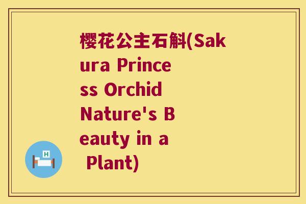 樱花公主石斛(Sakura Princess Orchid Nature's Beauty in a Plant)