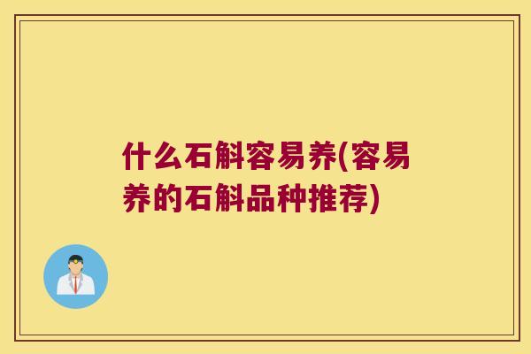 什么石斛容易养(容易养的石斛品种推荐)