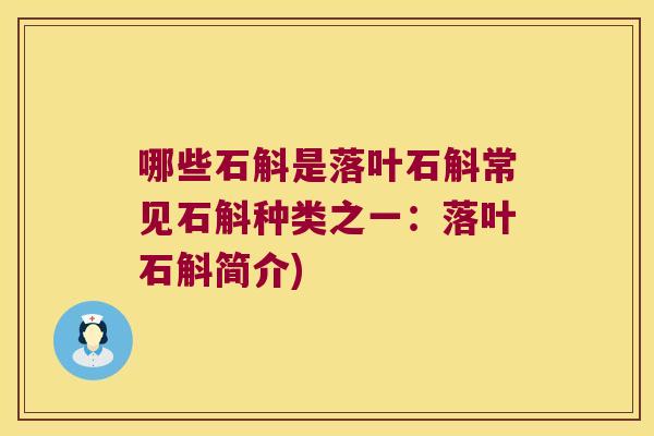 哪些石斛是落叶石斛常见石斛种类之一：落叶石斛简介)