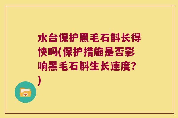 水台保护黑毛石斛长得快吗(保护措施是否影响黑毛石斛生长速度？)