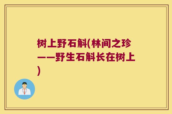 树上野石斛(林间之珍——野生石斛长在树上)