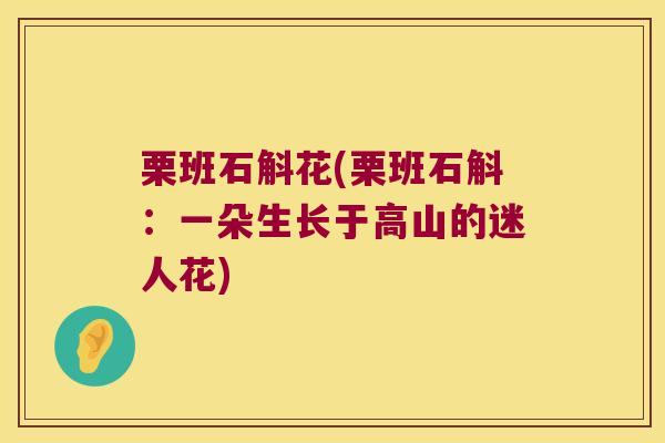 栗班石斛花(栗班石斛：一朵生长于高山的迷人花)