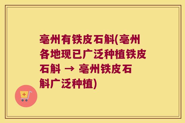 亳州有铁皮石斛(亳州各地现已广泛种植铁皮石斛 → 亳州铁皮石斛广泛种植)