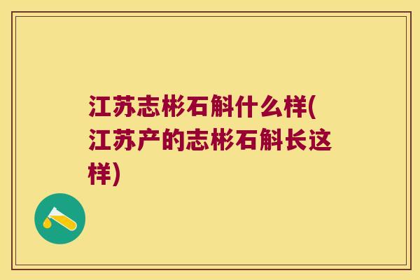 江苏志彬石斛什么样(江苏产的志彬石斛长这样)