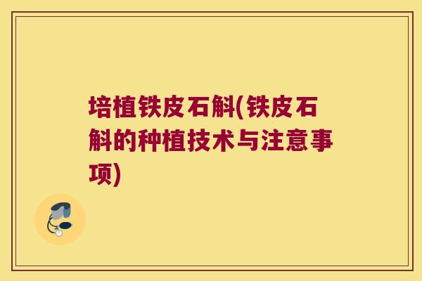 培植铁皮石斛(铁皮石斛的种植技术与注意事项)