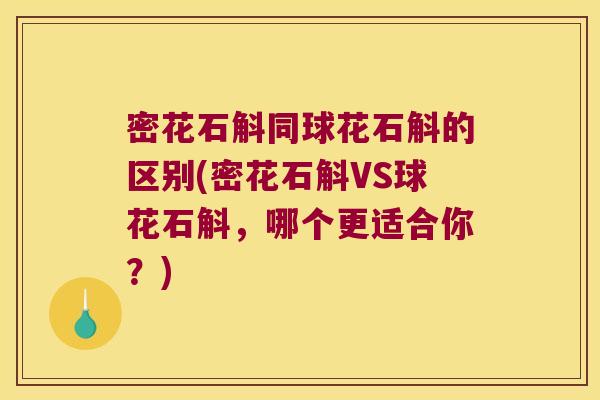 密花石斛同球花石斛的区别(密花石斛VS球花石斛，哪个更适合你？)