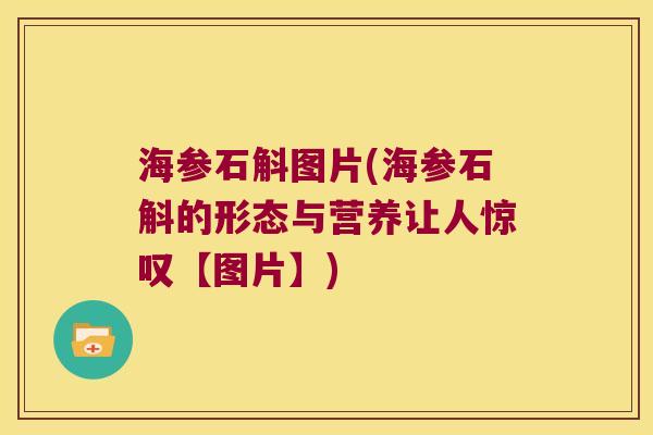 海参石斛图片(海参石斛的形态与营养让人惊叹【图片】) 海参石斛图片(海参石斛的形态与营养让人惊叹【图片】)