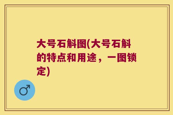 大号石斛图(大号石斛的特点和用途，一图锁定)