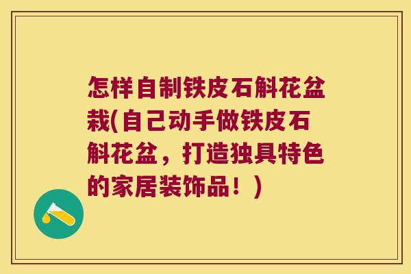 怎样自制铁皮石斛花盆栽(自己动手做铁皮石斛花盆，打造独具特色的家居装饰品！)