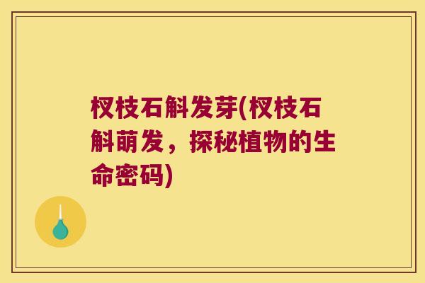 杈枝石斛发芽(杈枝石斛萌发，探秘植物的生命密码)