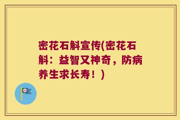 密花石斛宣传(密花石斛:益智又神奇,防养生求长寿!) 密花石斛宣传(密花石斛:益智又神奇,防养生求长寿!)