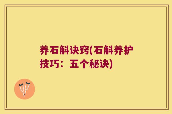 养石斛诀窍(石斛养护技巧：五个秘诀)