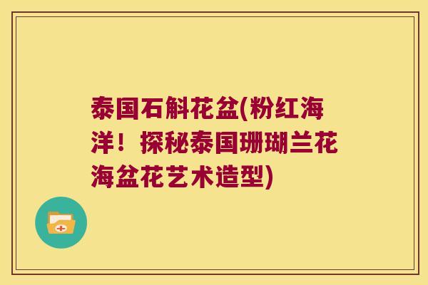 泰国石斛花盆(粉红海洋!探秘泰国珊瑚兰花海盆花艺术造型) 泰国石斛花盆(粉红海洋!探秘泰国珊瑚兰花海盆花艺术造型)