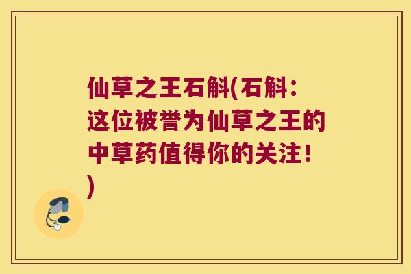 仙草之王石斛(石斛:这位被誉为仙草之王的中草药值得你的关注!) 仙草之王石斛(石斛:这位被誉为仙草之王的中草药值得你的关注!)