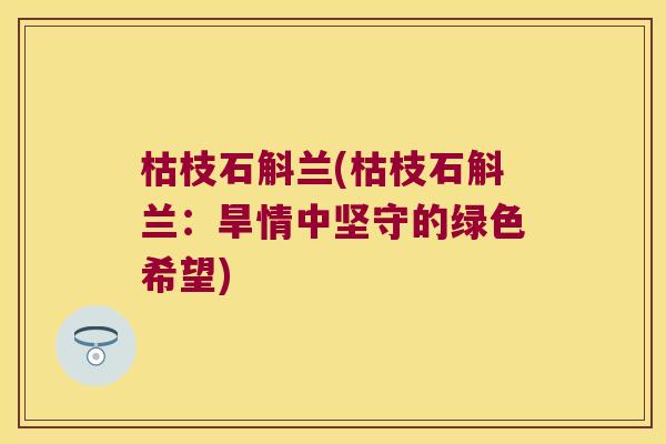 枯枝石斛兰(枯枝石斛兰：旱情中坚守的绿色希望)