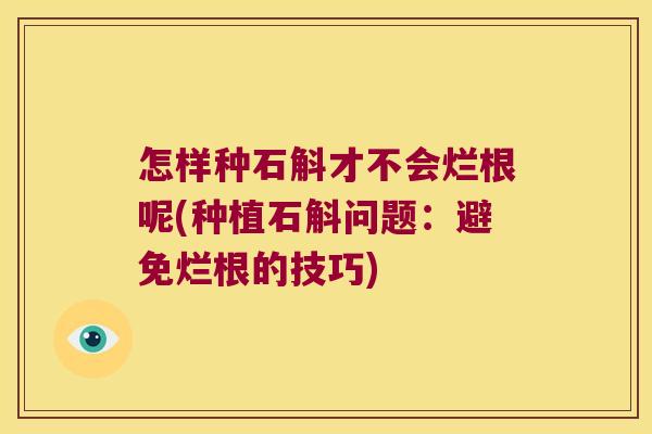 怎样种石斛才不会烂根呢(种植石斛问题：避免烂根的技巧)