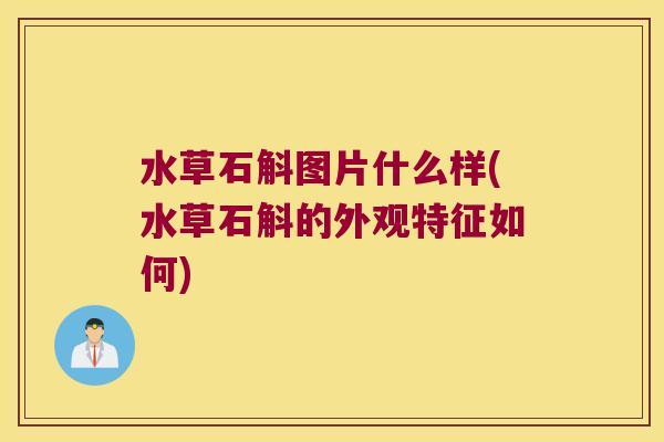 水草石斛图片什么样(水草石斛的外观特征如何)