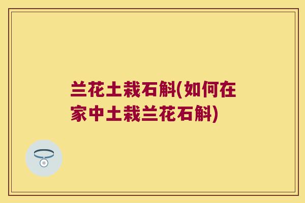 兰花土栽石斛(如何在家中土栽兰花石斛)