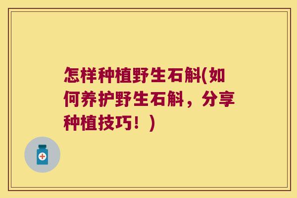 怎样种植野生石斛(如何养护野生石斛，分享种植技巧！)