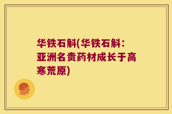 华铁石斛(华铁石斛：亚洲名贵药材成长于高寒荒原)