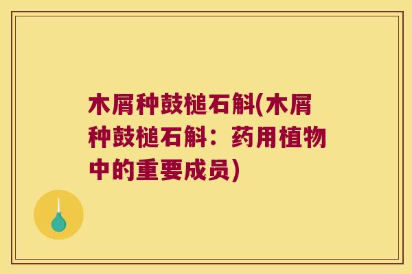 木屑种鼓槌石斛(木屑种鼓槌石斛：药用植物中的重要成员)