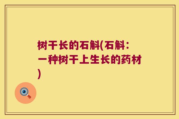 树干长的石斛(石斛：一种树干上生长的药材)