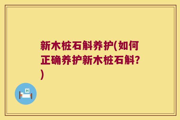 新木桩石斛养护(如何正确养护新木桩石斛？)