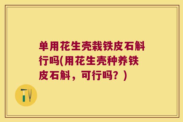 单用花生壳栽铁皮石斛行吗(用花生壳种养铁皮石斛，可行吗？)