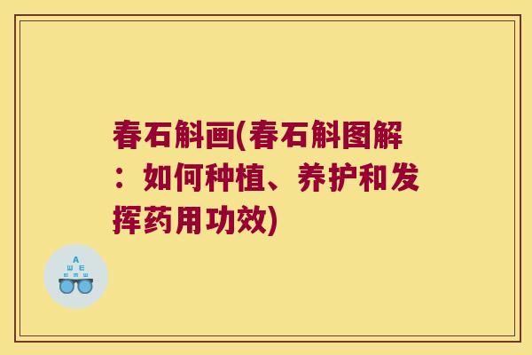 春石斛画(春石斛图解：如何种植、养护和发挥药用功效)