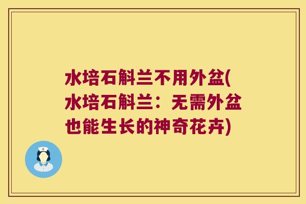 水培石斛兰不用外盆(水培石斛兰：无需外盆也能生长的神奇花卉)