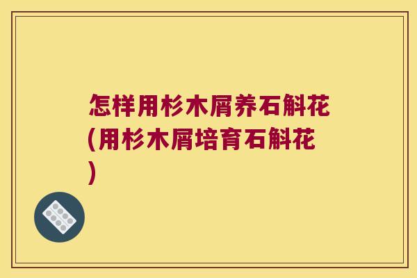 怎样用杉木屑养石斛花(用杉木屑培育石斛花)