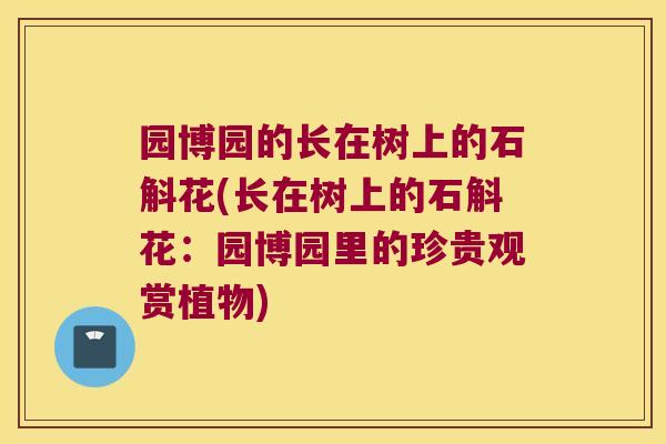 园博园的长在树上的石斛花(长在树上的石斛花：园博园里的珍贵观赏植物)
