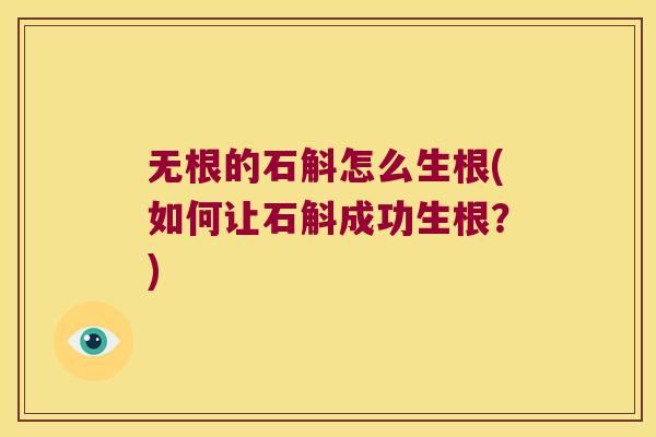 无根的石斛怎么生根(如何让石斛成功生根？)