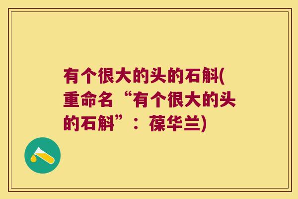 有个很大的头的石斛(重命名“有个很大的头的石斛”：葆华兰)