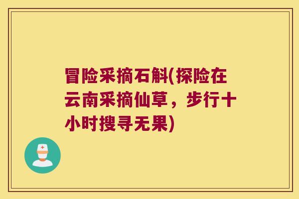 冒险采摘石斛(探险在云南采摘仙草，步行十小时搜寻无果)