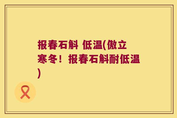 报春石斛 低温(傲立寒冬！报春石斛耐低温)