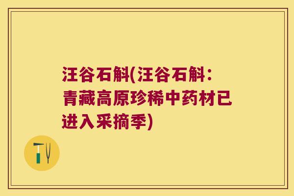 汪谷石斛(汪谷石斛：青藏高原珍稀材已进入采摘季)