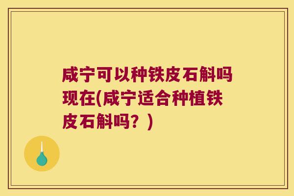 咸宁可以种铁皮石斛吗现在(咸宁适合种植铁皮石斛吗？)
