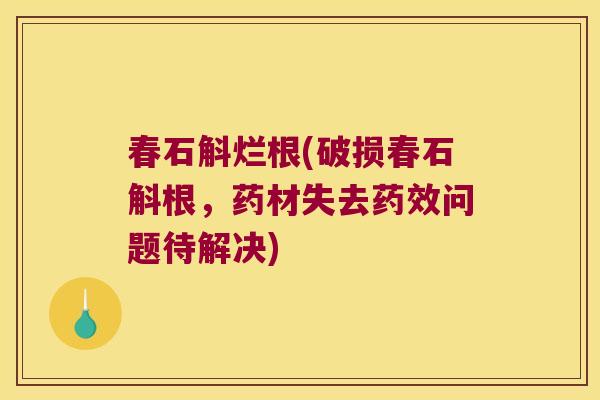 春石斛烂根(破损春石斛根,药材失去问题待解决) 春石斛烂根(破损春石斛根,药材失去问题待解决)