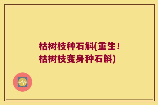 枯树枝种石斛(重生!枯树枝变身种石斛) 枯树枝种石斛(重生!枯树枝变身种石斛)