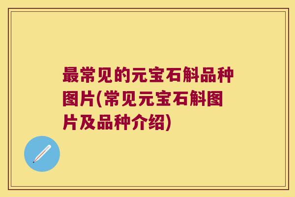 最常见的元宝石斛品种图片(常见元宝石斛图片及品种介绍)