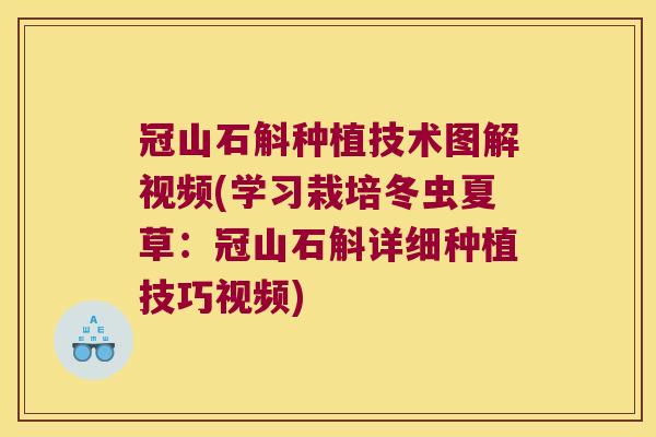 冠山石斛种植技术图解视频(学习栽培冬虫夏草：冠山石斛详细种植技巧视频)